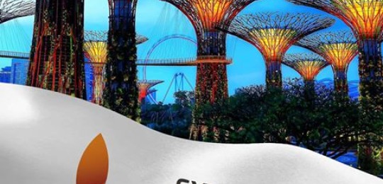 Сингапур “ЭКСПО 2017” көрмесіне қатысуға қызығушылық танытып отыр